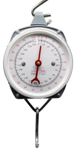 100kg 220lb Spring Balance Scales