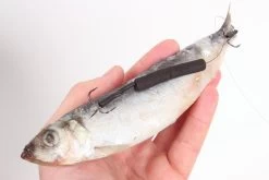 Bait Flipper 6pc -Visuitrusting Winkel bait flipper 2