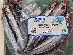 Blueys (Small) 5 X Fish