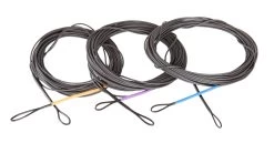 Connect Skagit T-Tips