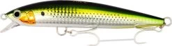 Shimano Exsence Blast Shad -Visuitrusting Winkel exsence blast shad konoshiro