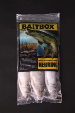 Frozen Herring