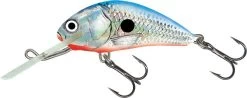 Salmo Hornet Floating Lure
