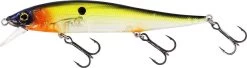 Westin Jerkbite SR 11cm 13.5g Suspending Jerkbait -Visuitrusting Winkel jerkbite sr hot shad