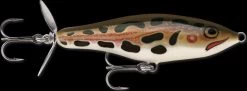 Rapala Skitter Prop -Visuitrusting Winkel skitter prop frog